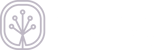 Logo Stemsy